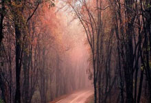 威廉希尔体育：西甲第22輪巴塞羅那2-0加的斯 巴塞7連勝 8分領先皇馬！.