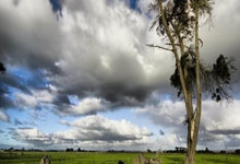 西班牙國家隊歷屆世界杯戰績.