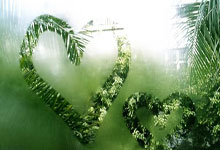 威廉希尔体育：朗尼-沃克歐洲賽場首秀8投0中一分未得太尷尬了.