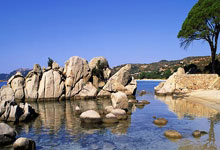 河南朝着建设农业强省目标扎实迈进（高质量发展调研行）.